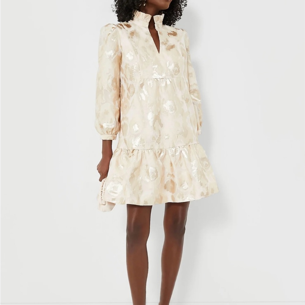 Pink Champagne Fil Coupe Palmerston Dress